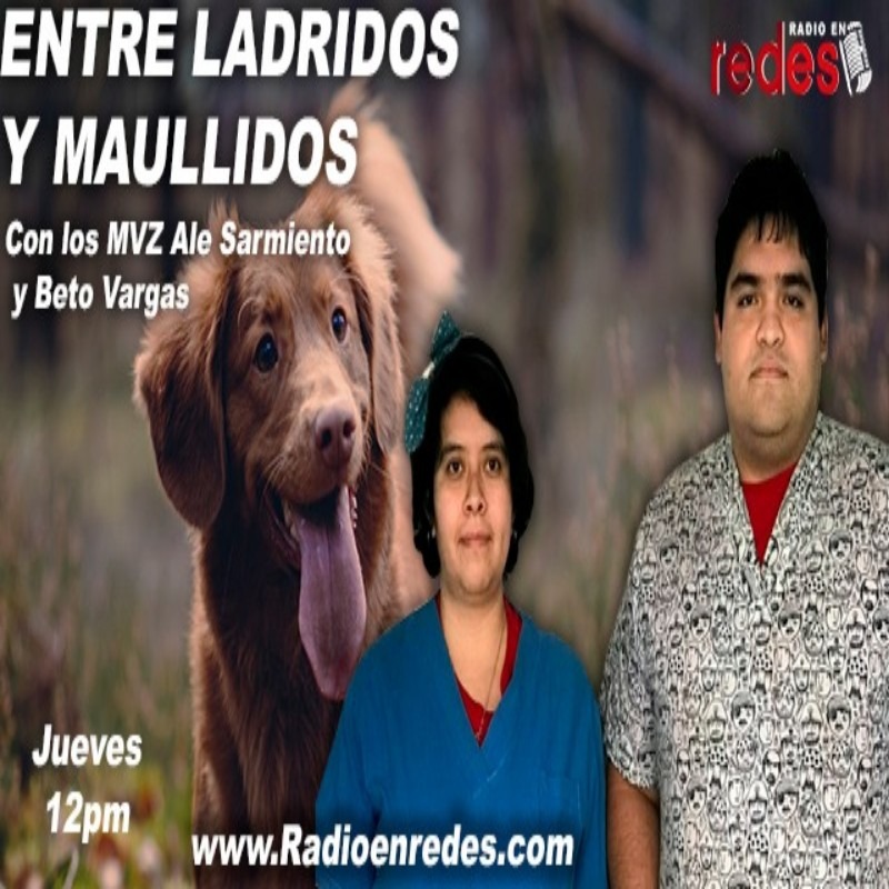 Programa 4